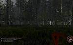   The Forest [0.26d] (2015) PC | RePack  R.G. Freedom